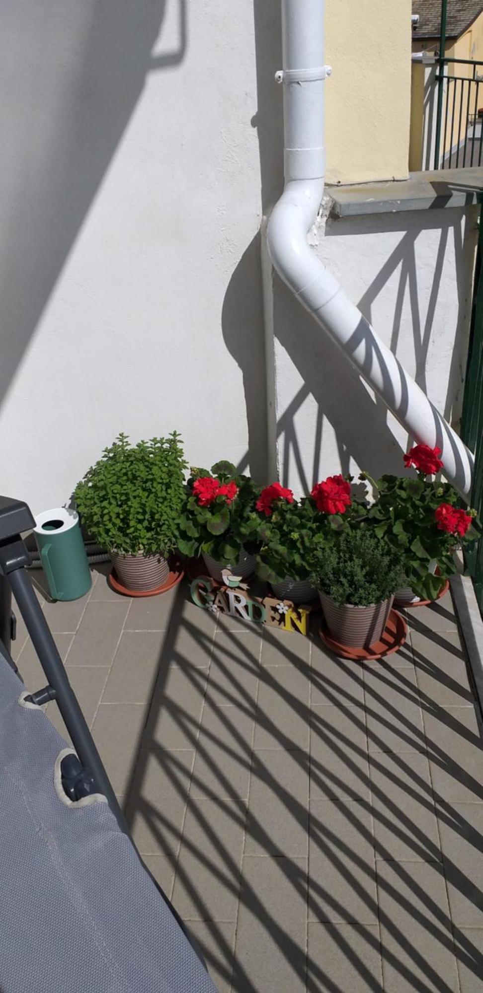 Apartamento Aa Ciasea Duu Pintuu Riomaggiore Exterior foto